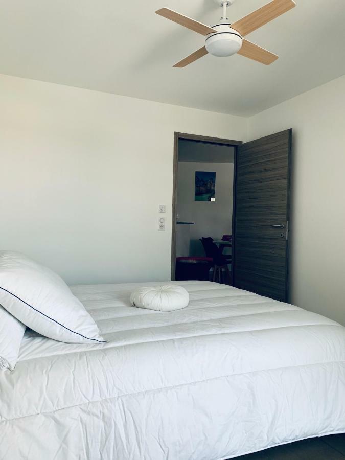 Rayan 4 Etoiles - Proche Lac & Vieille Ville, Garage Prive, Secteur Recherche Annecy Eksteriør billede